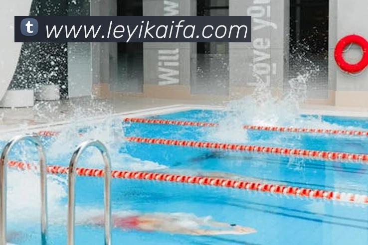 多媒体互动体验